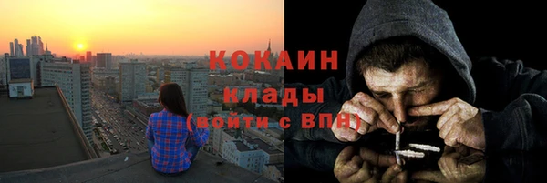 соль ск Абаза