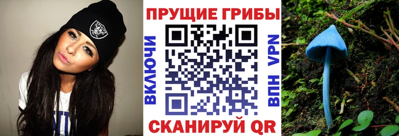 Псилоцибиновые грибы мухоморы  как найти наркотики  Пугачёв 